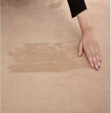 LUXURIOUS CARPET -SUPER SOFT BEAUTIFUL : Measures 2.5 m x 2.0m  -Short-haired coral velvet carpet li